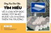 Tim-hieu-ve-2-loai-xop-boc-hang-tot-nhat-duoc-ua-chuong-tren-thi-truong.jpg
