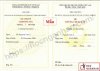chứng chỉ kinh tế kỹ thuật công nghiệp.jpg