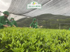 upload_2026-5-14_14-33-26.png